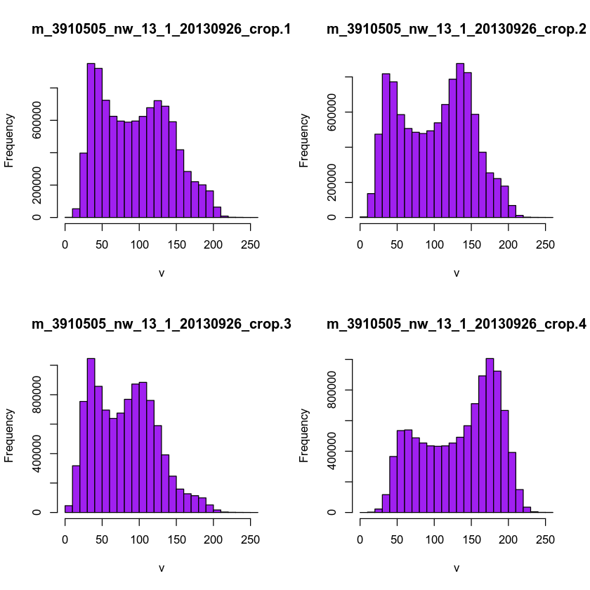 Histogram of each NAIP band for a total of 4 bands.