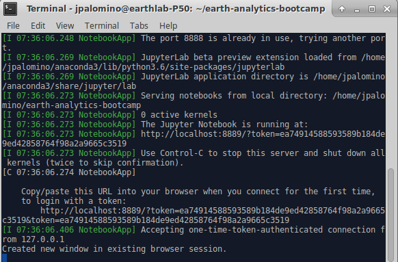 This is what the Terminal looks like with a Jupyter Notebook session running.