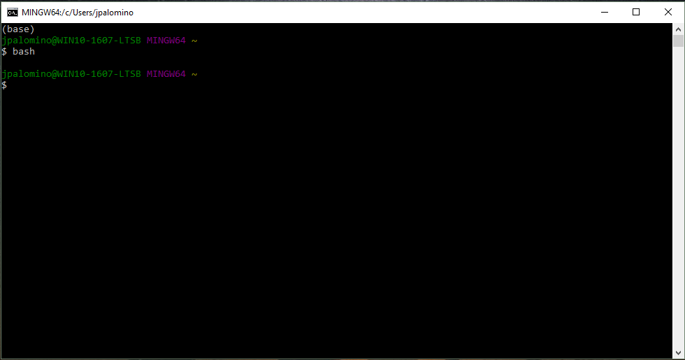 This is what the Git Bash Terminal on Windows looks like.