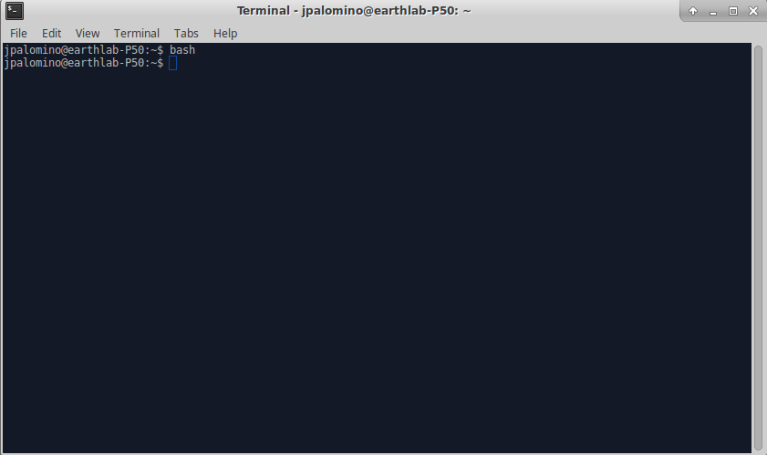 This is what the Terminal on Linux looks like.