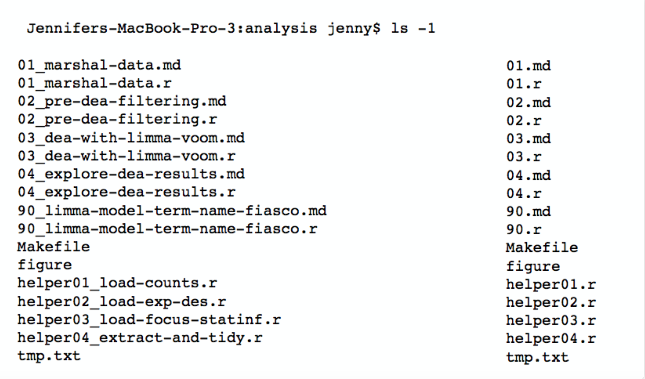 File and directory names that clearly indicate the type of information stored within that file or directory are the most useful or expressive to your colleagues or your future self as they allow you to quickly understand the structure and contents of a project directory. Source: Jenny Bryan, Reproducible Science Curriculum.