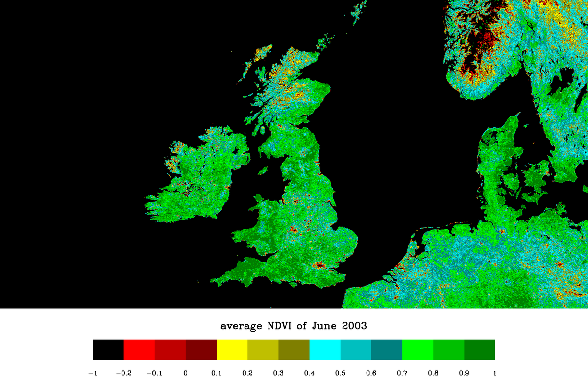 Remote sensing NDVI example image.