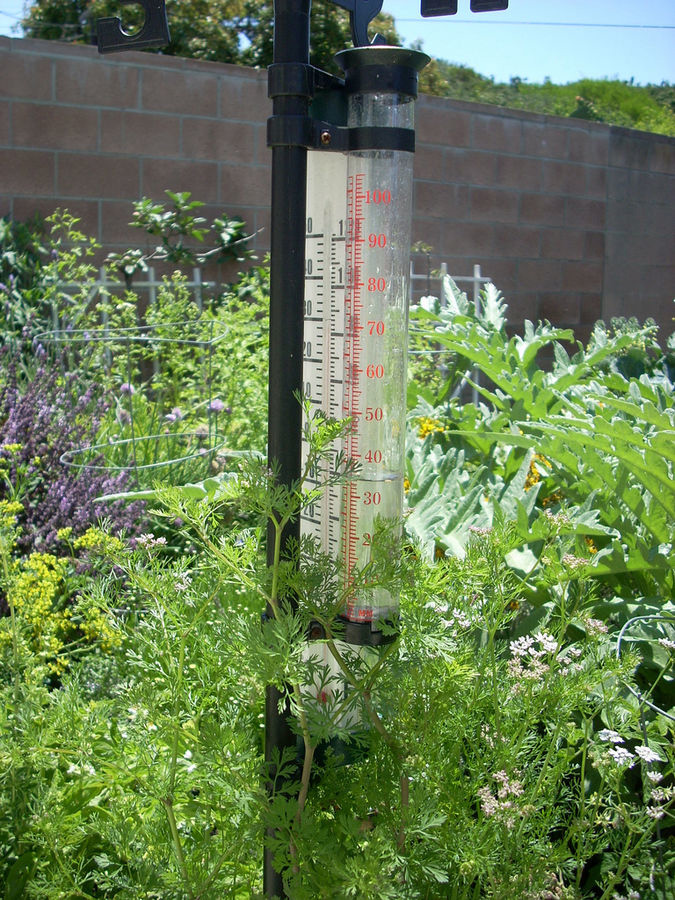 Rain gage