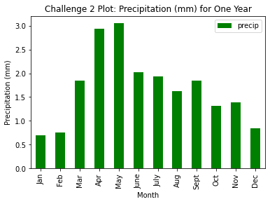 Bar plot of precipitation (mm) for one year.