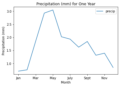 Line plot of precipitation (mm) for one year.