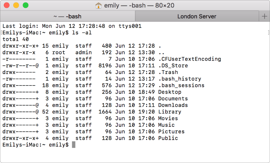 This is what the Terminal on Mac looks like. Source: Apple.com.