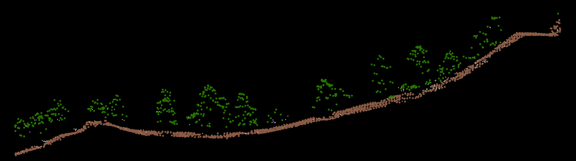 A cross section of 3-dimensional lidar data. Brown points represent ground, green represent vegetation (trees).
