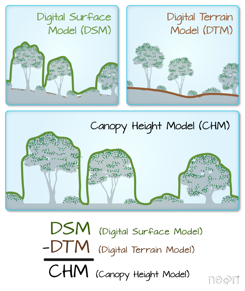 Lidar derived DSM, DTM and CHM.