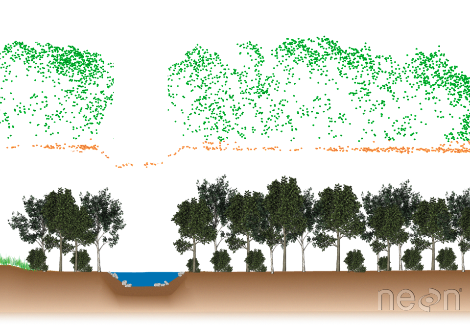 Example of a tree profile after a Lidar scan. Cross section showing LiDAR point cloud data (above) and the corresponding landscape profile (below)