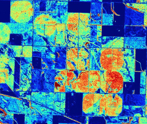 Remote sensing NDVI example image of an agricultural field.