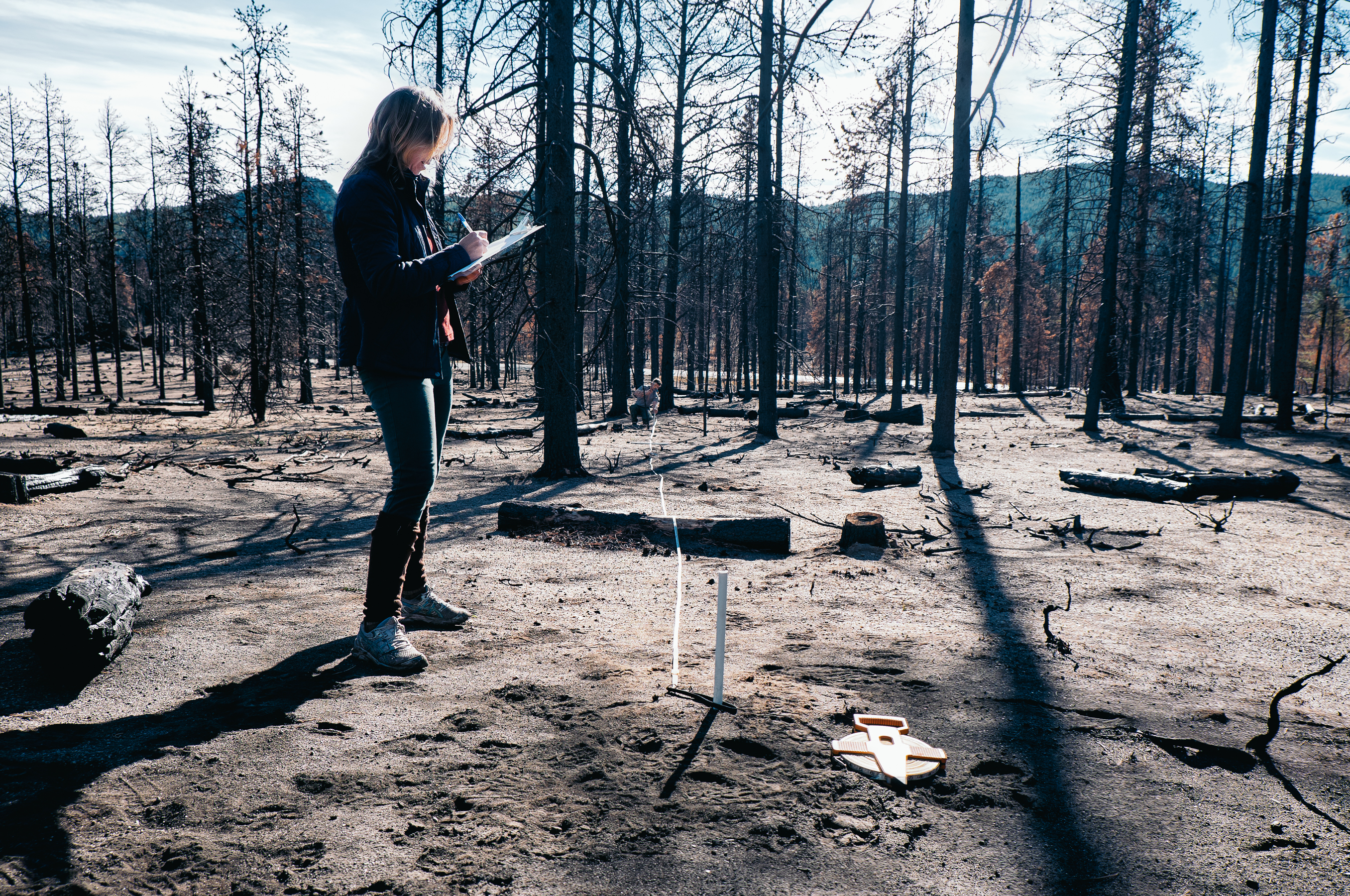 A CU Boulder student performs fieldwork at the site of the Cold Springs Fire.