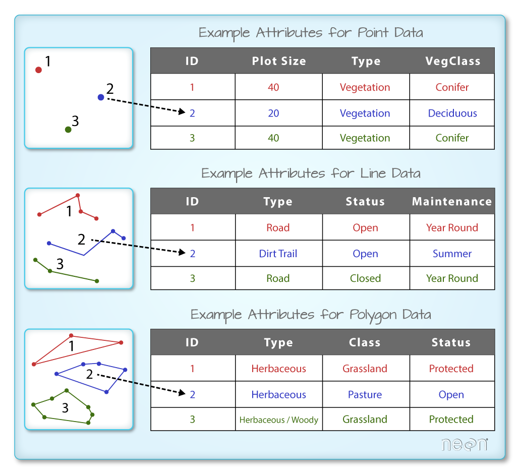 A shapefile has an associated attribute table. Each spatial feature in a spatial object has the same set of associated attributes that describe or characterize the feature. Attribute data are stored in a separate .dbf file. Attribute data can be compared to a spreadsheet. Each row in a spreadsheet represents one feature in the spatial object. Image Source: National Ecological Observatory Network (NEON)
