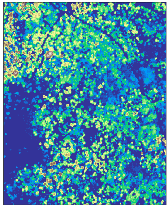 Here you can see the results of your crop function.